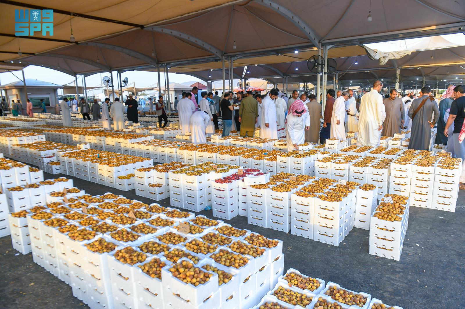 thriving-economic-buzz-in-madinah-s-date-market