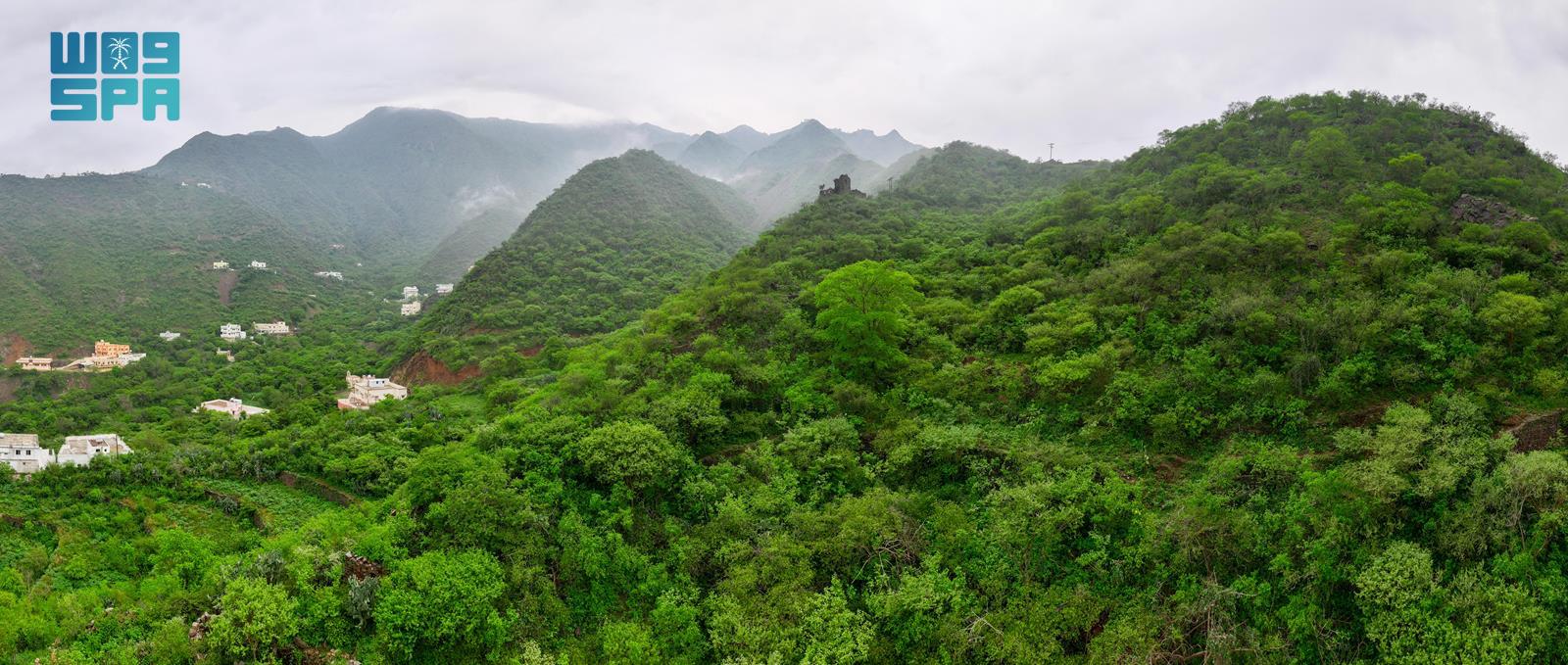 NCVC Opens Seasonal Investment Applications for 21 Locations in Aseer ...